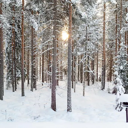 Apartment Spacious Surrounded By Arctic Nature Rovaniemi